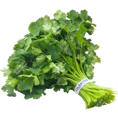 Fresh (Unbranded) Cilantro (Fresh)