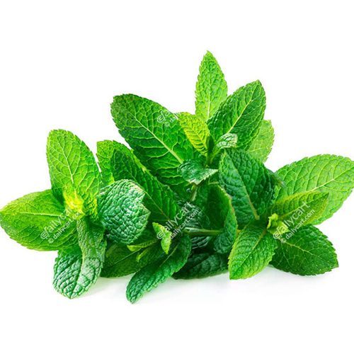 Fresh (Unbranded) Mint Leaves (Fresh)